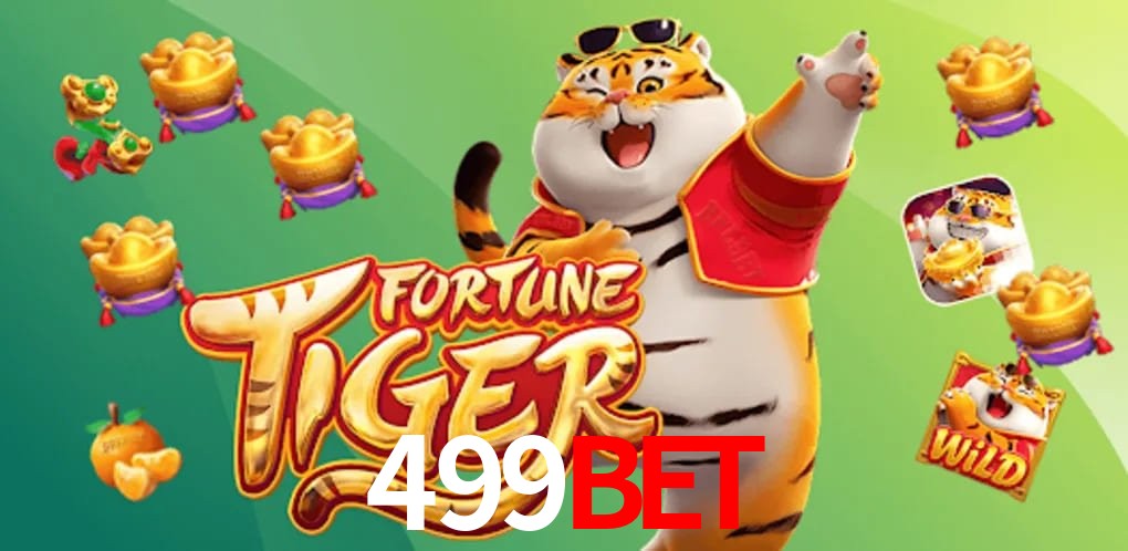 Experiência VIP 499BET